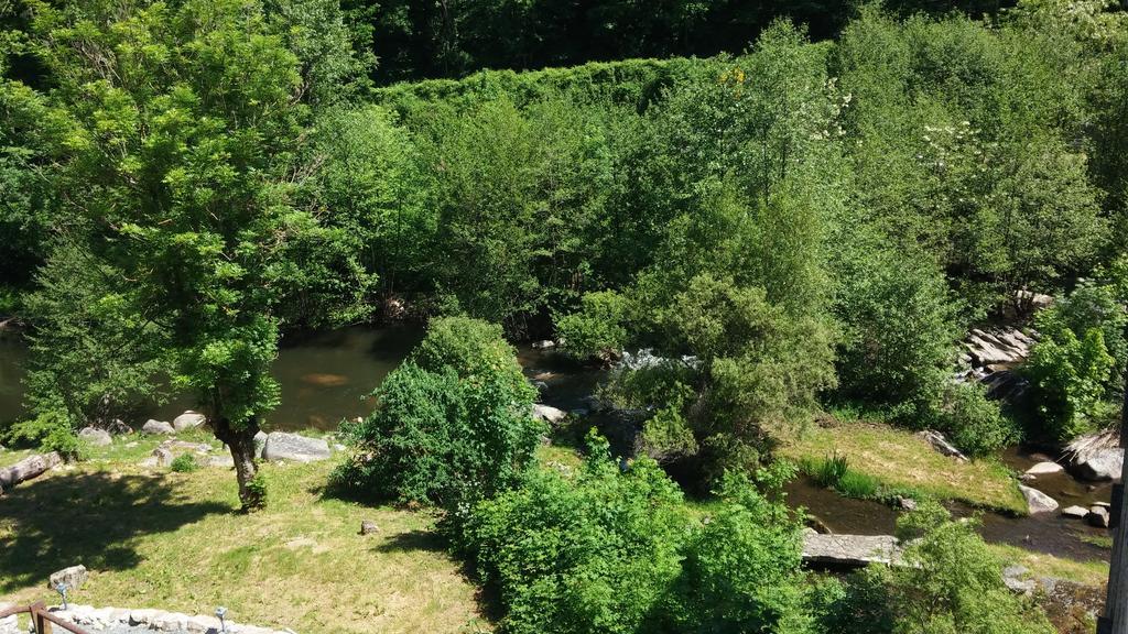 Villa Moulin De Record Ferrieres  Zimmer foto